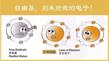 慢性疾病背后的元凶——自由基